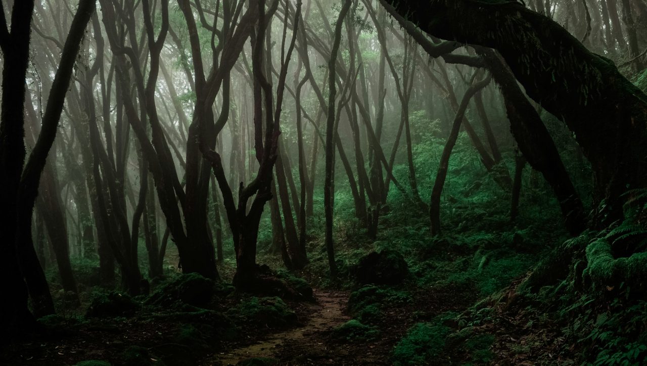 national parks in nepal