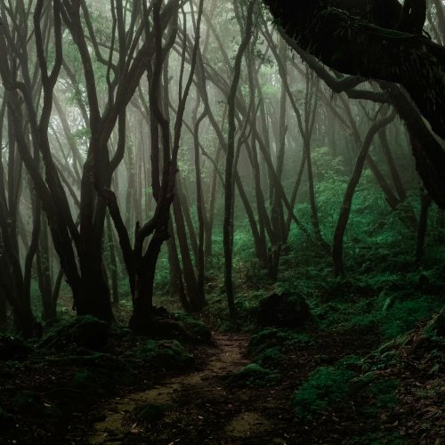 national parks in nepal