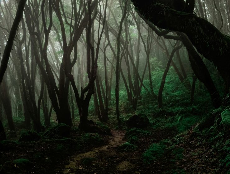 national parks in nepal