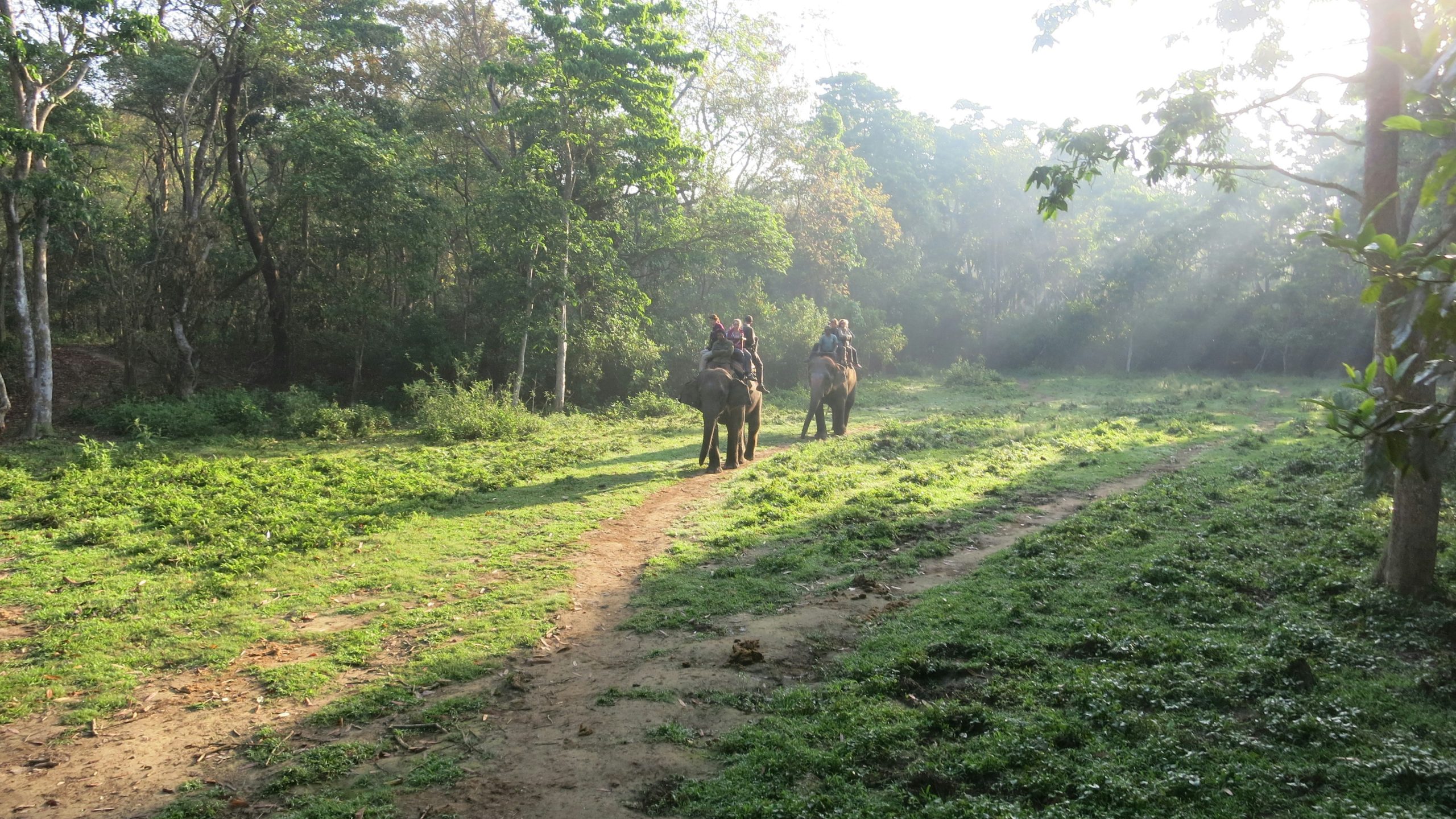 Chitwan-Sauraha Tour