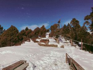Langtang Valley Trek