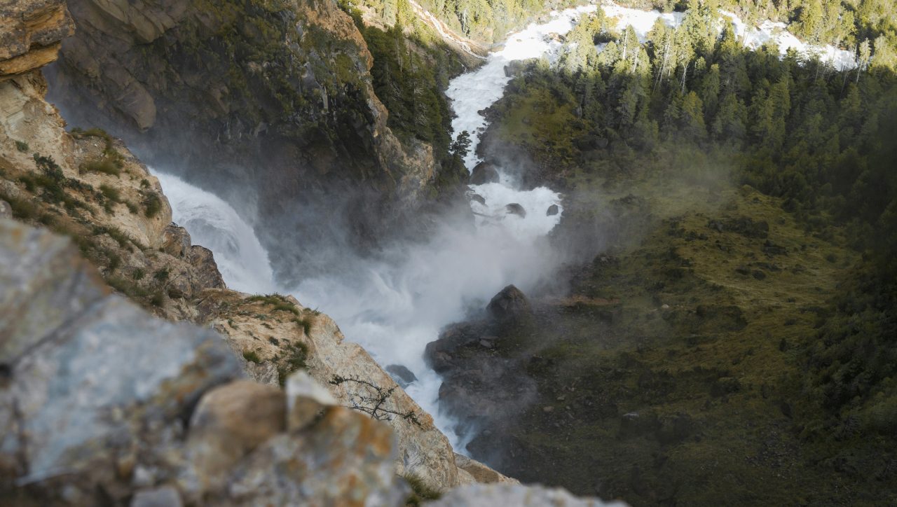 lowertoupppeerdolpa