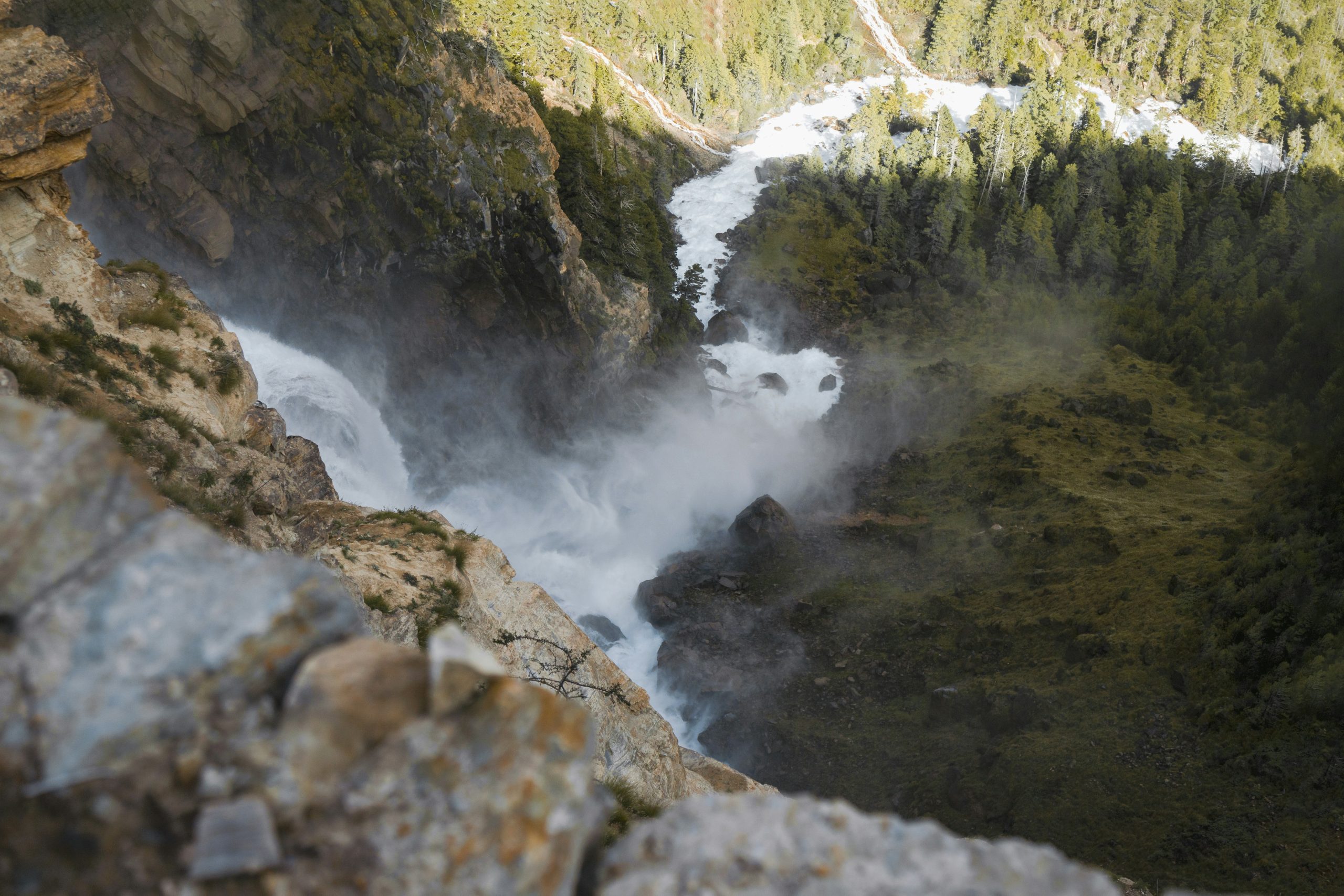 lowertoupppeerdolpa